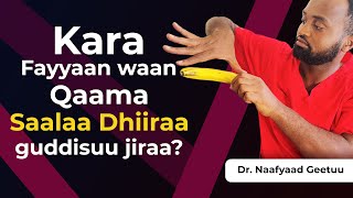 Qaamni saalaa Kiyya xiqqaadha| akkamiin guddisu?