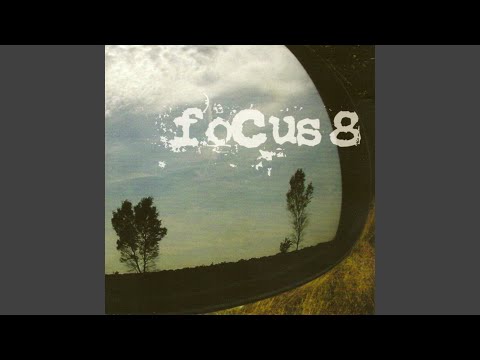 Focus (2) — Hurkey Turkey