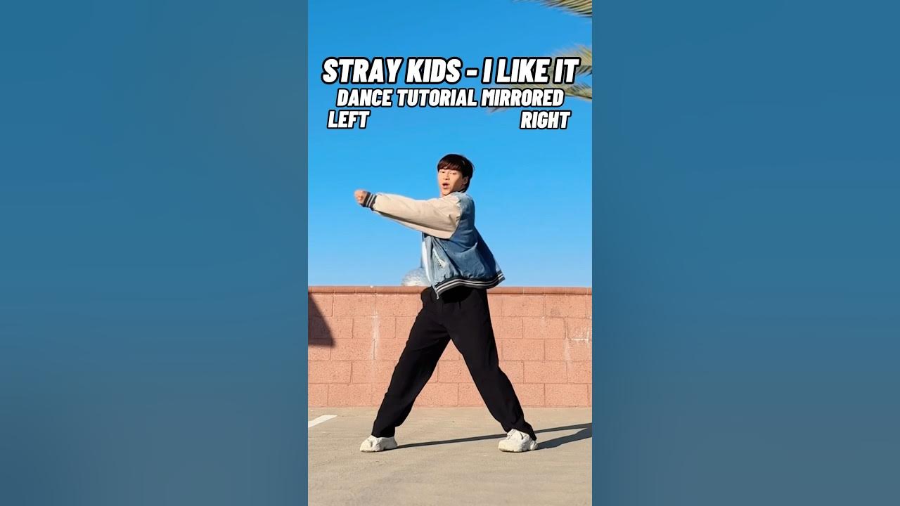 STRAY KIDS - ‘I Like It’ DANCE TUTORIAL MIRRORED ✨ #kpoptutorial STRAY KIDS - ‘I Like It’ DANCE TUTORIAL MIRRORED ✨ #kpoptutorial