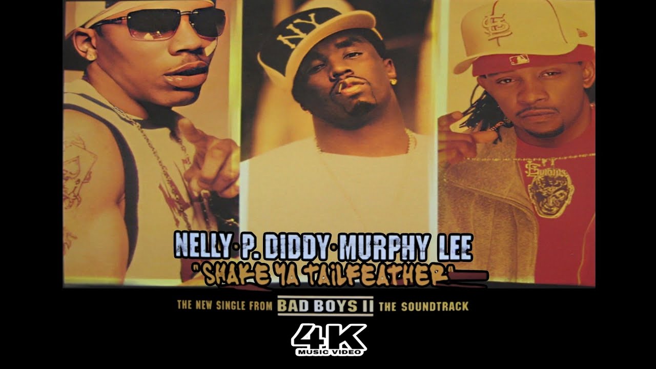 P. Diddy SHAKEYATAIL FEATHER ピップホップ 7インチ 4K] P. Diddy feat. Nelly & Murphy Lee - Shake Ya Tailfeather