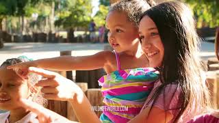 Every Day Is A Great Day At Wildlife World Zoo 30 Seconds