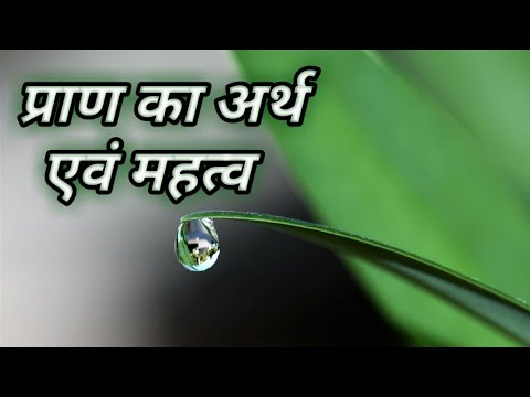 प्राण का अर्थ एवं महत्व || What is the meaning & importance of Prana ?