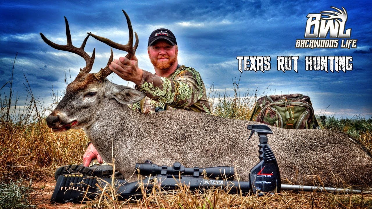 SOUTH TEXAS RUT AND JAVELINA HUNT - YouTube
