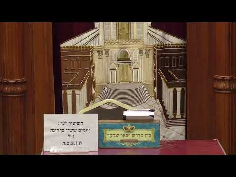 שידור חי -  הרב אמנון לוי - אבות דרבי נתן ושעה 20:5 פרשת השבוע עם הרב חיים הניק