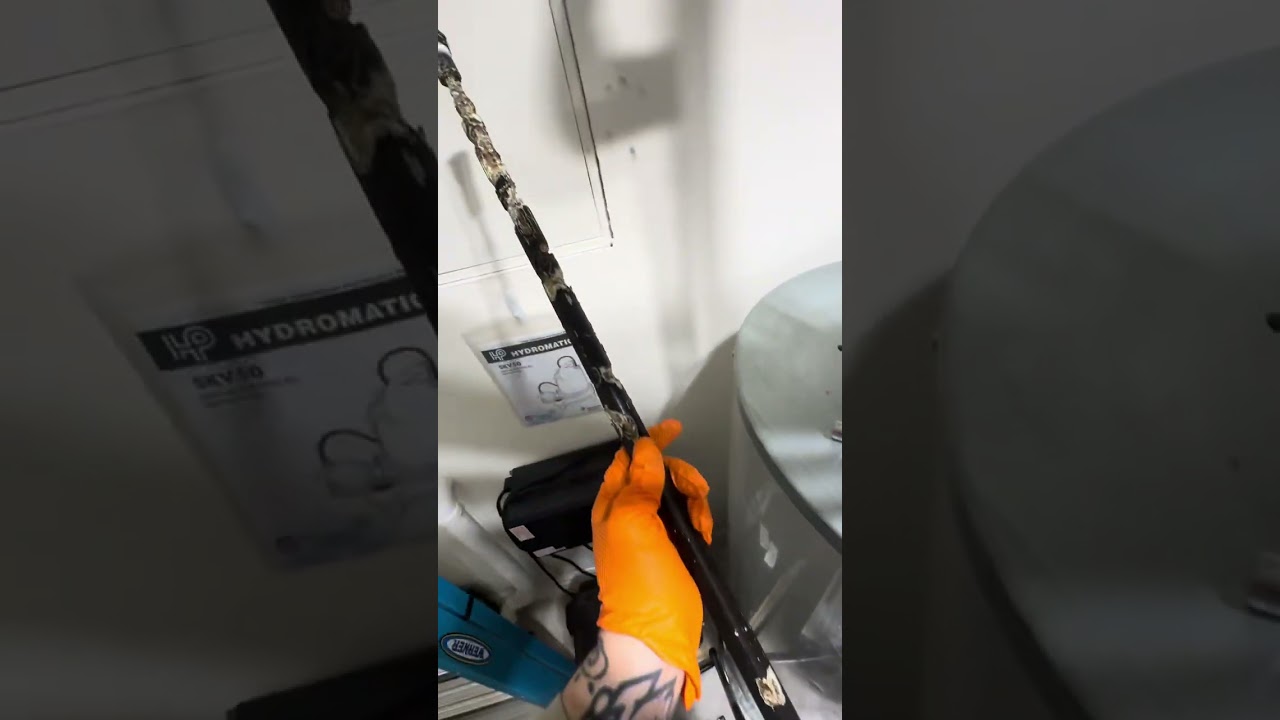 Ever wonder what goes on inside your hot water system? 👀💧