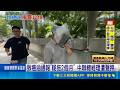 致癌油通報"疑拖2個月" 中聯總經理遭聲押 四大油品業老董全被告 最高2000萬交保｜三立新聞LIVE