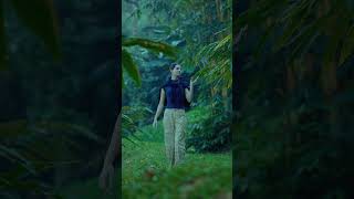 Forest Canopy Resort Thekkady — Cinematic Resort Film | I DO Designs