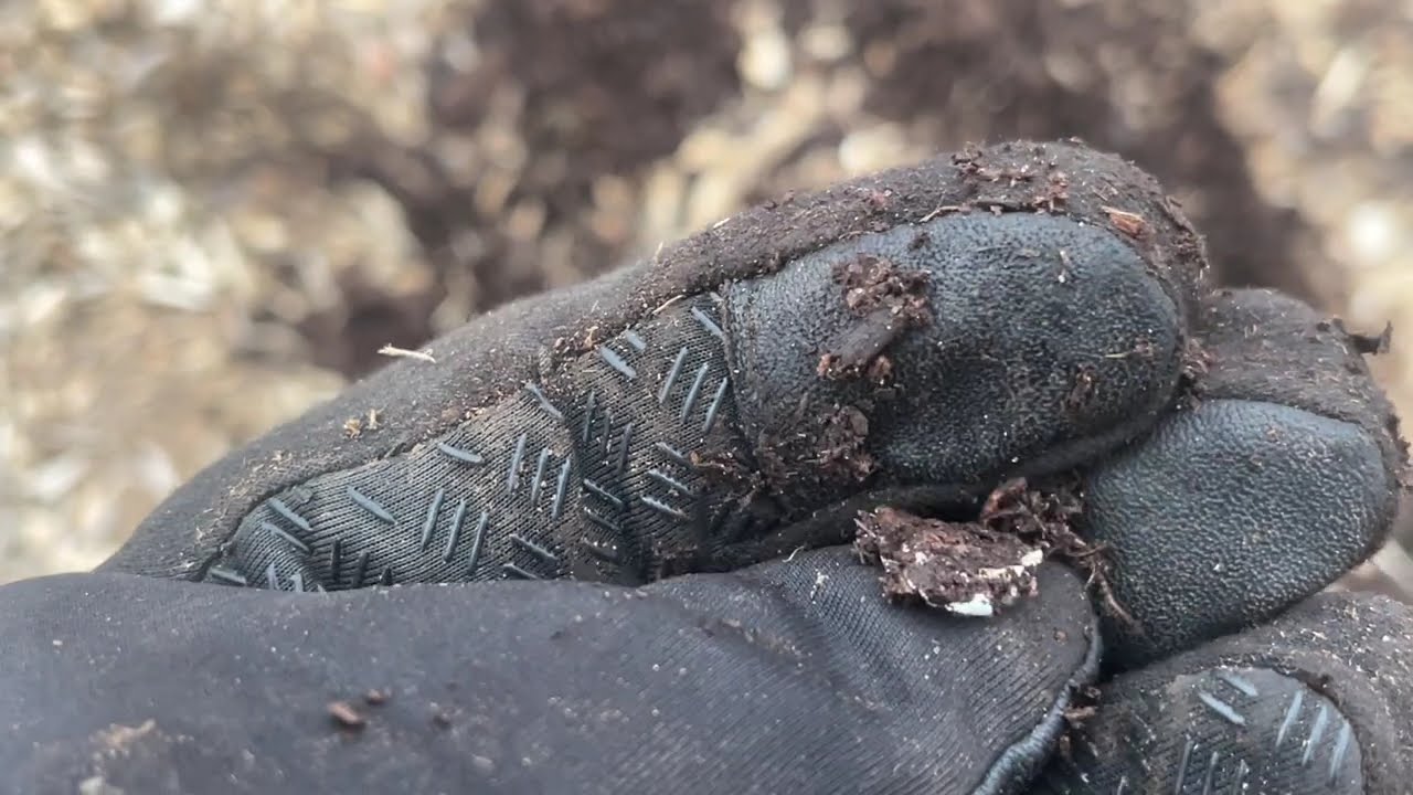 Not Just Another Playground!