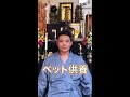 ペット供養について【木下レオン開運術】