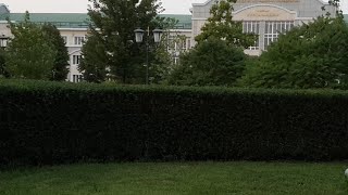 Чеченке нужна помощь в Пакистане. Чеченке нужна помощь в Пакистане.