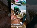 Best Fixes for Bad 😭 Walking Ways Finally a Good Guy Comes to the Rescue🙏 By 👉 the Great Respect