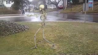 FxGuru Video skeleton dance