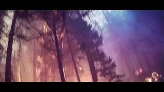 Phillip Timothy ~ Dorothy Gale Went Back to Kansas (official video)