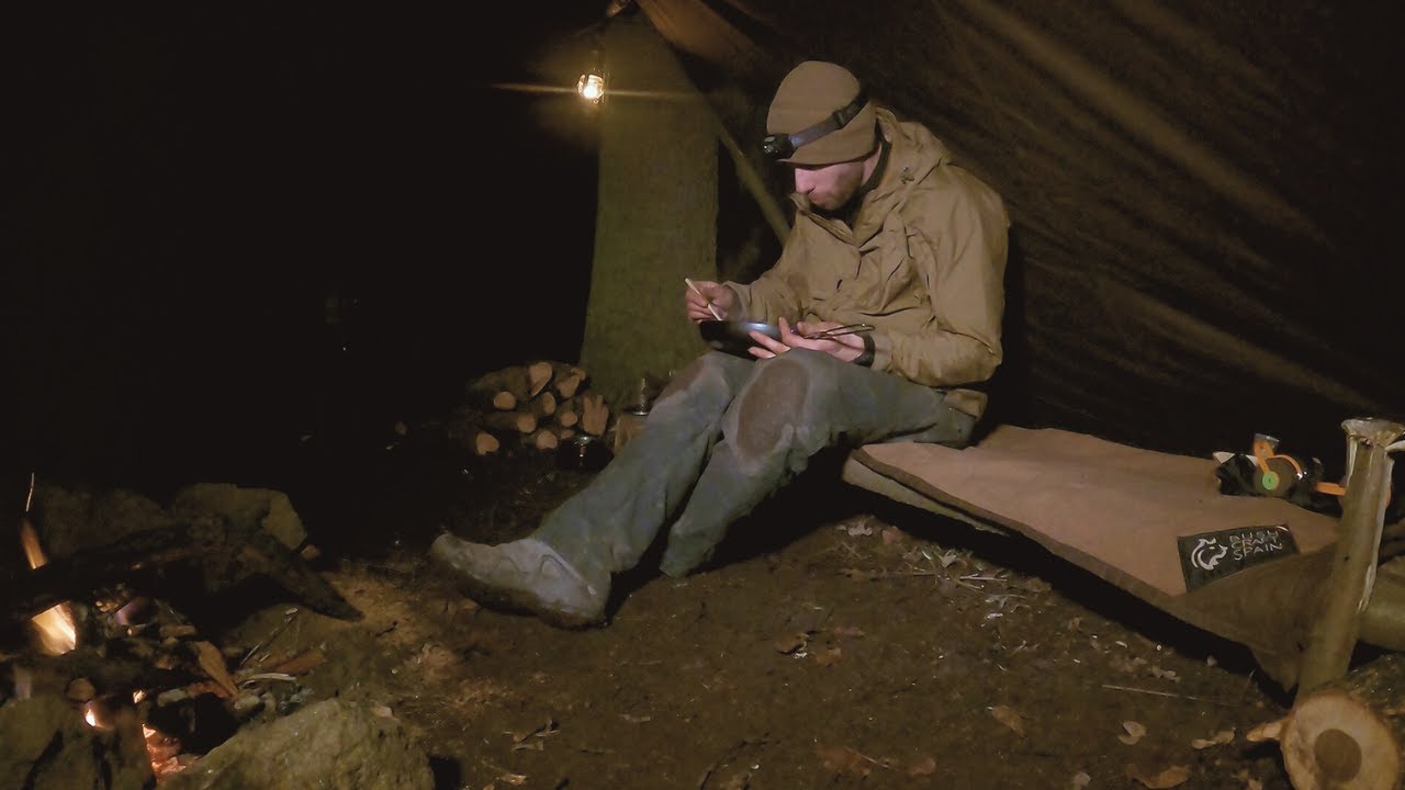 Solo Bushcraft Camping With My Dog - I Started Building My Forest Camp ...