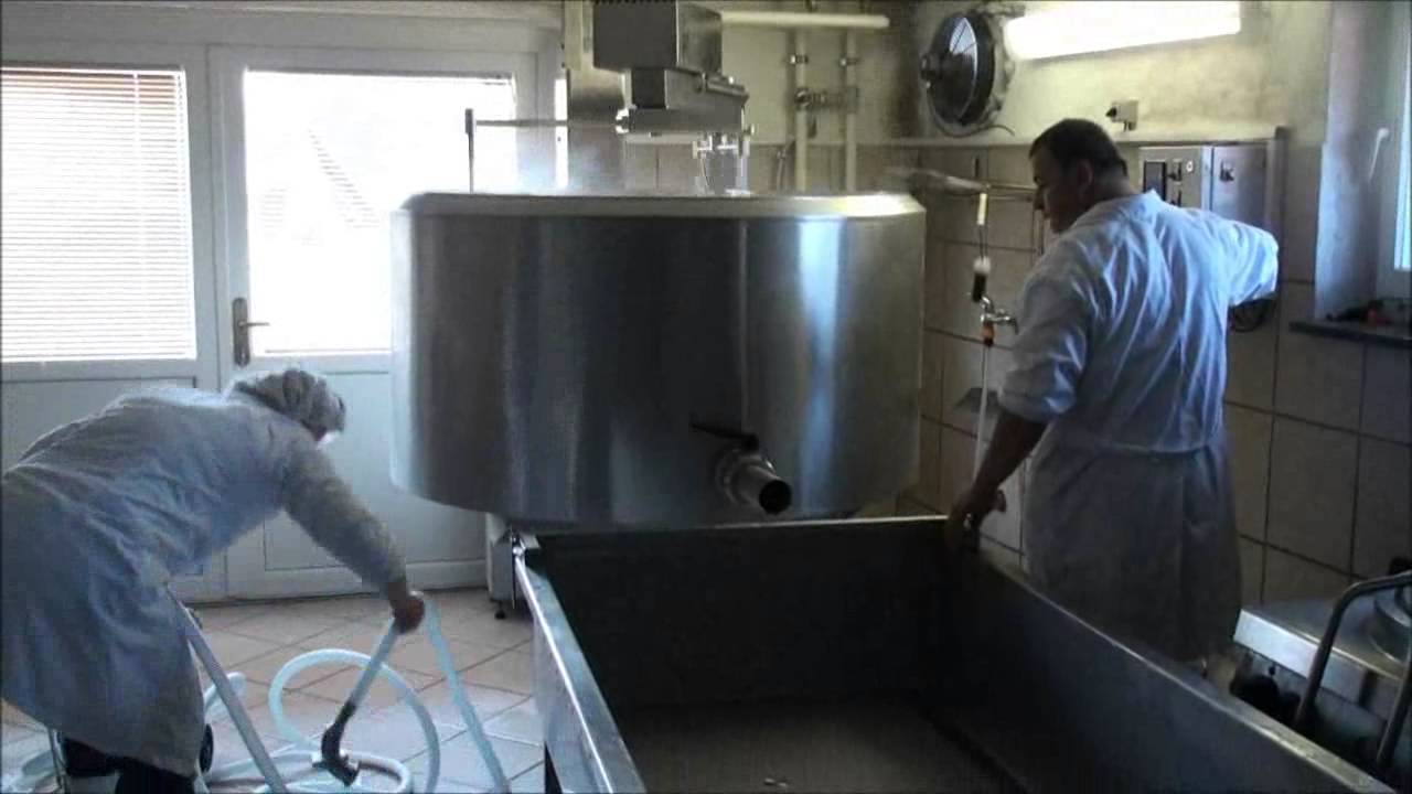 Plevnik - Cheese making, 1000l milk