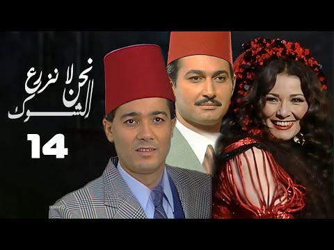 مسلسل نحن لا نزرع الشوك اثار الحكيم خالد النبوي الحلقة الرابعة عشر     