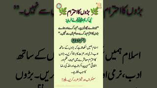 ✨ بڑوں کا احترام، کردار کی پہچان ہے۔ ✨ #islamicshorts #islamicstatus #noorquest