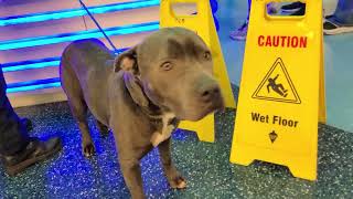 #OurCounty News - "Save Charlie Day" Press Conference