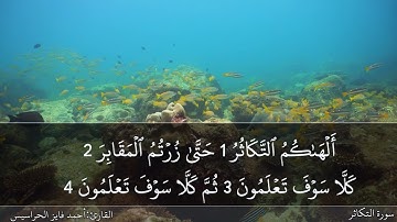 سورة التكاثر كاملة مكتوبة ومسموعة بصوت القارئ احمد الحراسيس