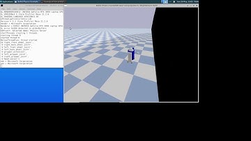 A pybullet demo
