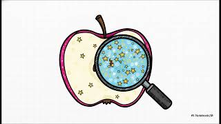 The Explainer Applesapple Apple Fruit Benefits, Types & Fun Facts