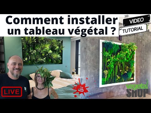 Cadres végétaux : Découvrez comment embellir votre intérieur - Guide  rénovation facile