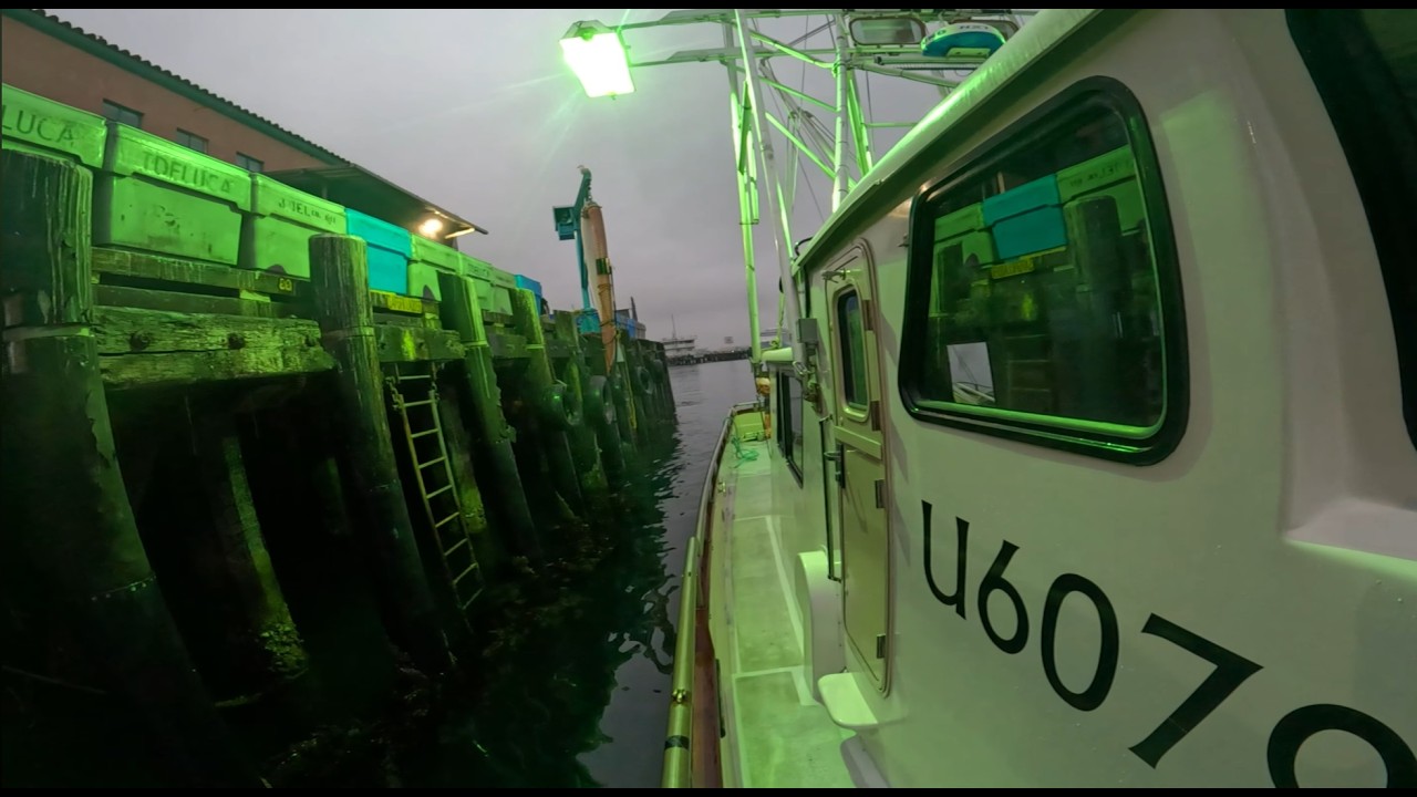 Squid Fishing out of Kings Harbor (Brailing process) - YouTube