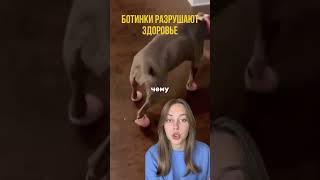 Ботинки разрушают здоровье 217883800