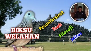 Katuranggan Perkutut Biksu Welahan