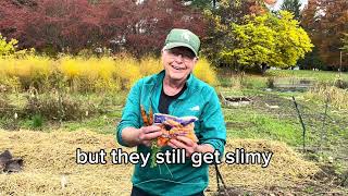 Fake Baby Carrots