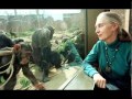 All About Jane Goodall