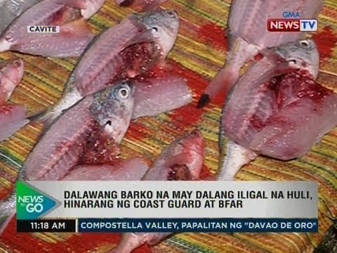 NTG: Dalawang barko na may dalang iligal na huli, hinarang ng coast guard at BFAR