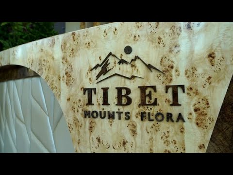 Video: Tibet Və Monqolustanda çay Necə Içilir?