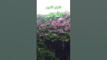 #quran #القرآن_الكريم #قران_حالات_واتس #سورة_يس #محمد_صديق_المنشاوي #قران_بصوت_جميل #foryou