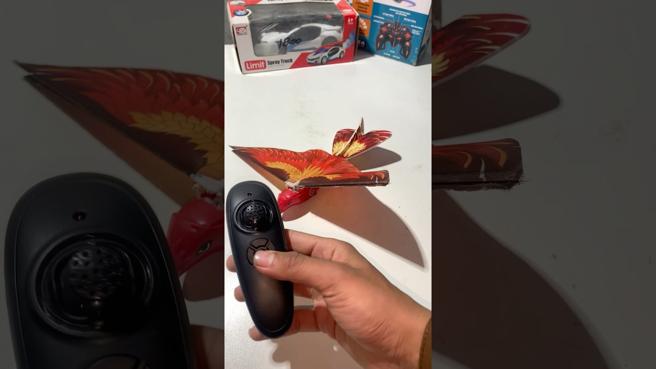 New model rc flying bird unboxing and testing