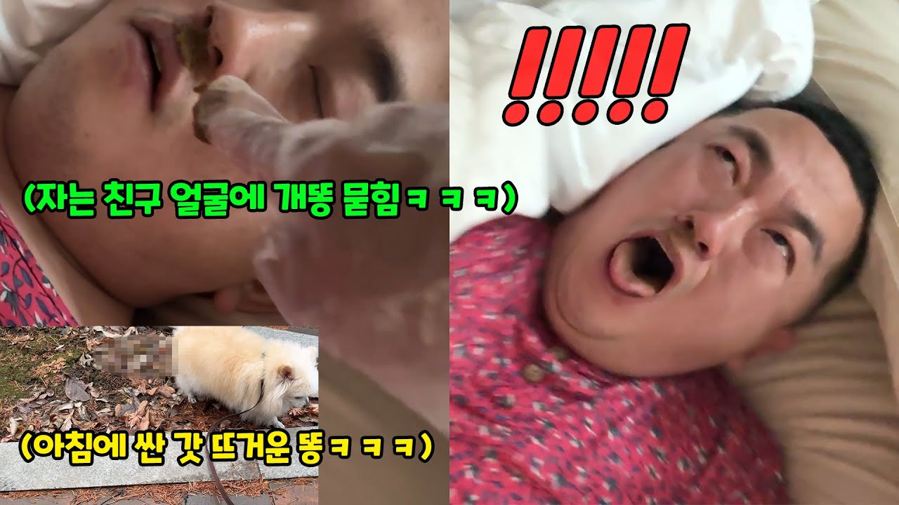 자는 사람 코에 개똥 발라서 깨워보기ㅋㅋㅋ