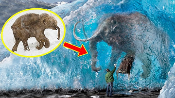 5 FROZEN MAMMOTHS You Won