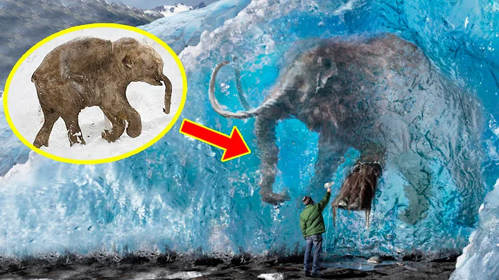 5 FROZEN MAMMOTHS You Won't Believe Were Found ❄️ - DayDayNews