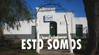 🎦 ESTO SOMOS: CHENAUT Y ANDONAEGUI