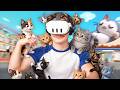 DÜKKANI KEDİLER BASTI! - iplusd VR