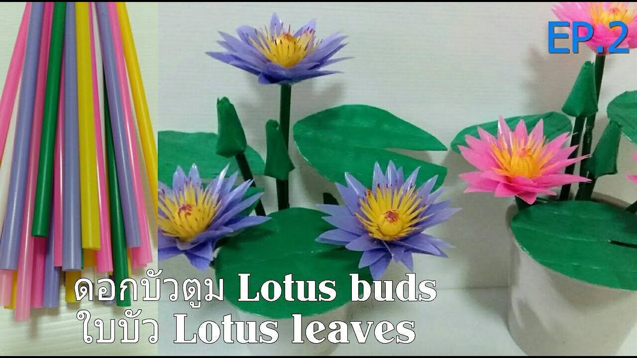 ดอกไม้จากหลอด ดอกบัวตูม ใบบัว จากหลอด by มายมิ้นท์ Lotus buds, Lotus leaves from 100% Straws.EP.2