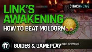 Link's Awakening - How to Beat Moldorm