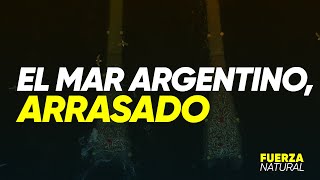 EL MAR ARGENTINO, ARRASADO - #FuerzaNatural