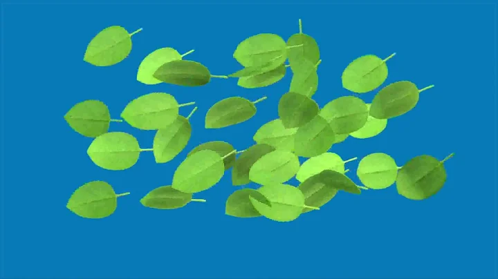 Measuring Leaf Area Index (LI-COR LAI-2200C)