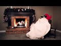 Fredbird Yule Log | St. Louis Cardinals