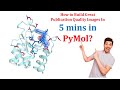 Learn how to make great publication quality images in pymol in 5 minutes