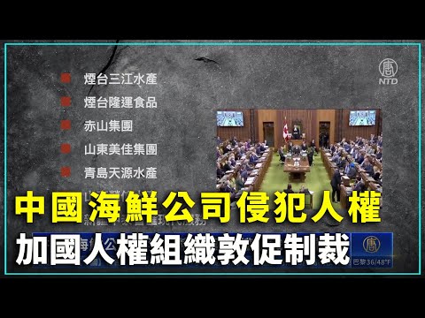 中国海鲜公司侵犯人权 加国人权组织敦促制裁｜ #新唐人新闻精选