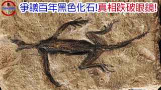 [生物放大鏡] 不存在的恐龍?黑色化石的真相! | 德國森林發現霸王龍化石 | 神奇寶貝化石現身! by Takeshi小剛 163,357 views 2 months ago 15 minutes