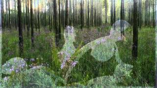 She Was A Wildflower By Grant Peeples