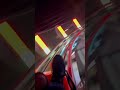 Rocky top mountain coaster Tn #trending #tn #ytshort #amusementpark #night #nightlife